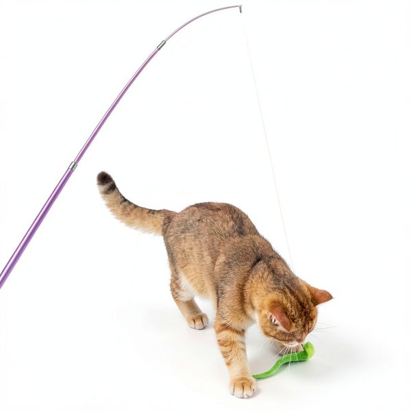 Cat Wand Toy Set by ZeyZoo with 7 Worm Refills and Spare Line-4