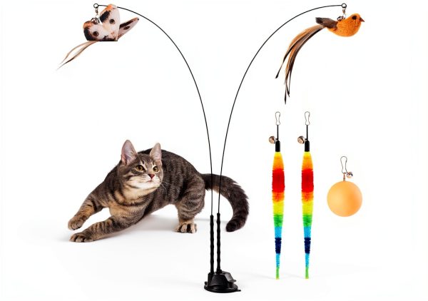 Suction Cup Cat Wand Toy Potaroma Dual-Wand Kitten Toy Charcoal Base-0