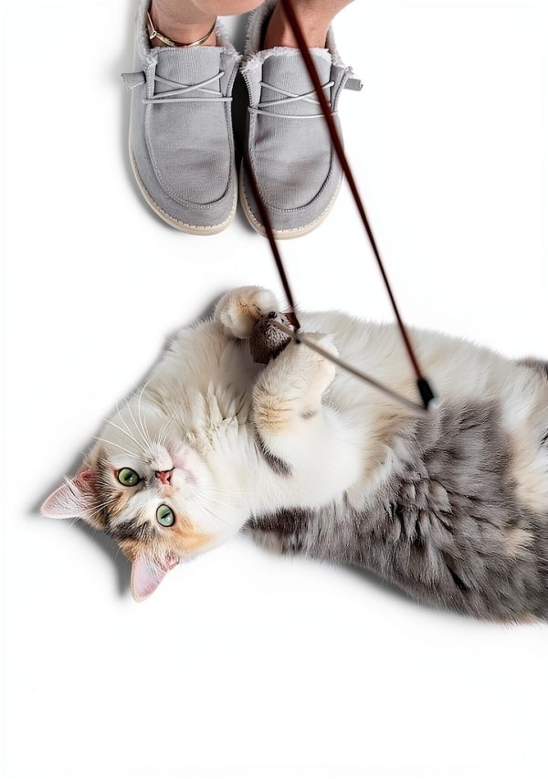 Play N Squeak Teathered Wand Cat Toy by OurPets All Sizes-5