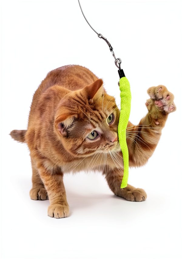 PAWSITIVE Interactive Cat Toys Feather Wand with 12 Refill Set-3