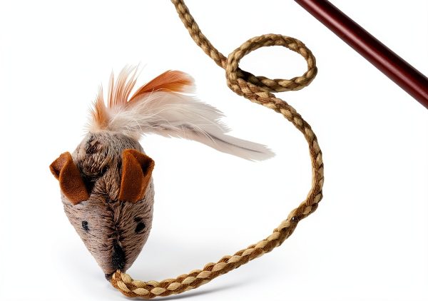 Play N Squeak Teathered Wand Cat Toy by OurPets All Sizes-1