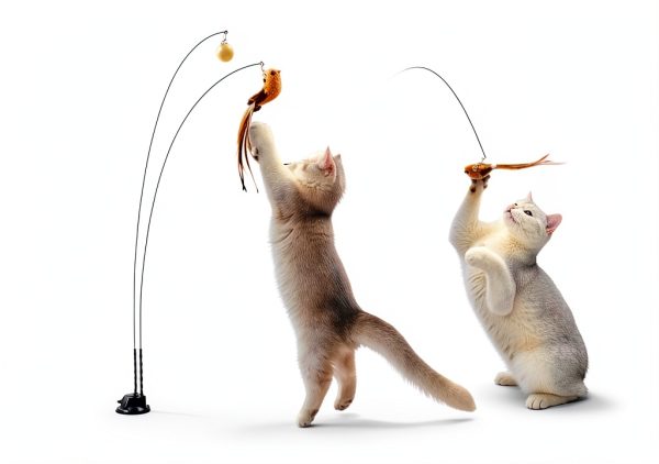 Suction Cup Cat Wand Toy Potaroma Dual-Wand Kitten Toy Charcoal Base-5
